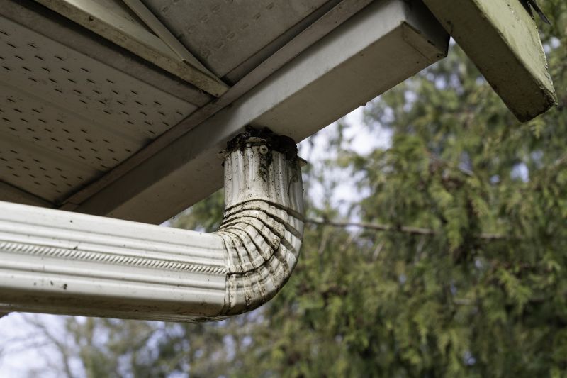 Clogged Gutter Risks